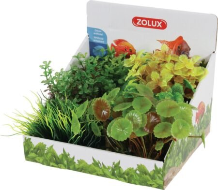 DISPL PLANT AQUA X6 S - ASS B - 352126