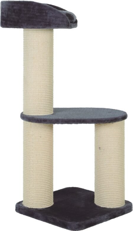 AAC BIG CAT 2 - 504094