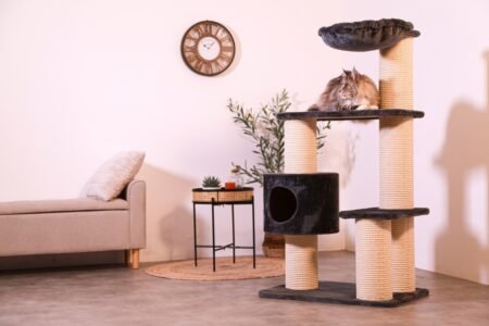 AAC BIG CAT 3 - 504095