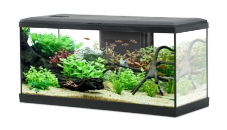 KIT AQUA TANA 80 NOIR - 309033