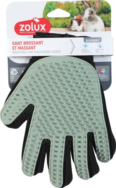 GANT DE BROSSAGE RONGEUR - 203038