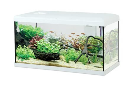 KIT AQUA INITIO 60 BLANC - 309029