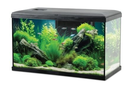 KIT AQUA TANA 60 NOIR - 309030