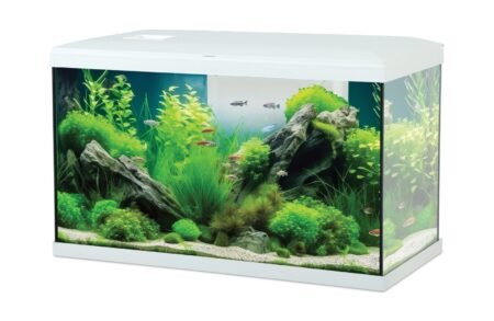 KIT AQUA TANA 60 BLANC - 309031