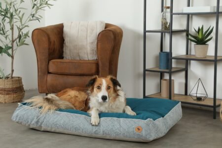 COUSSIN OUAT DEHOU T130 KANGA - 409533