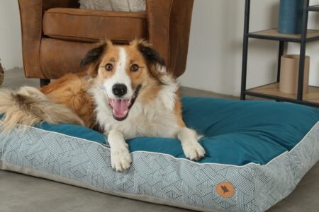 COUSSIN OUAT DEHOU T110 KANGA - 409532