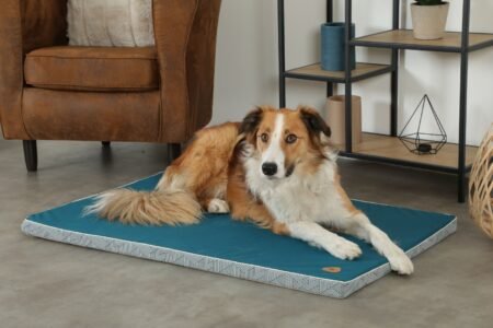 TAPIS DEHOUSSABLE T105 KANGA - 409539